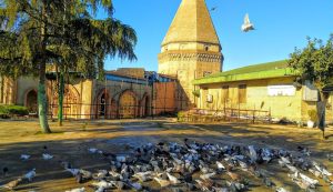 فرانچایز ساری ۳۰ بن (نمایندگی ۳۰ بن در شهر ساری)