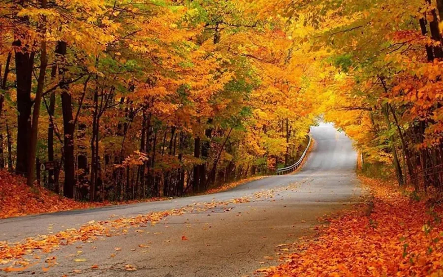 فرانچایز گلستان ۳۰ بن (نمایندگی ۳۰ بن در استان گلستان)